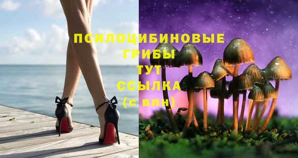 ешки Переславль-Залесский